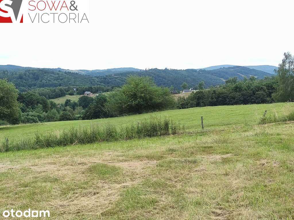 Panoramiczny widok na szczyty gór,  ok 1 km od PKP - Pełny obrazek: 3/11
