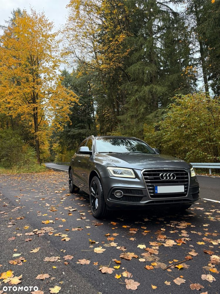 Audi Q5 2.0 TDI clean diesel Quattro S tronic - 13