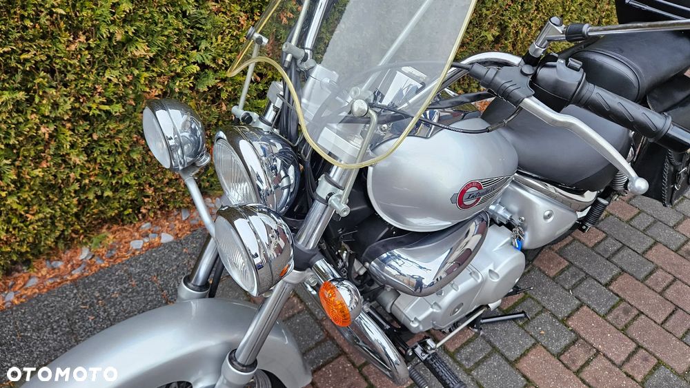 Suzuki Intruder - 28