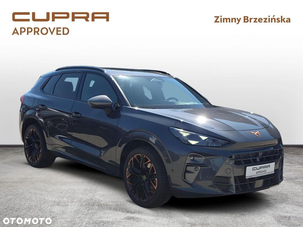 Cupra Terramar 2.0 TSI 4Drive DSG - 8