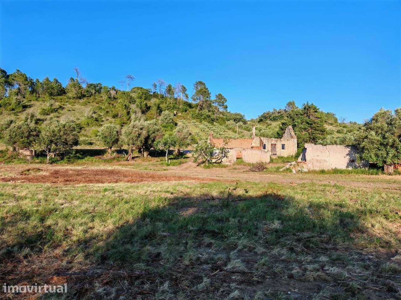 Quintinha T3 Venda em Torres Novas (São Pedro), Lapas e Ribeira Branca - Grande imagem: 3/24