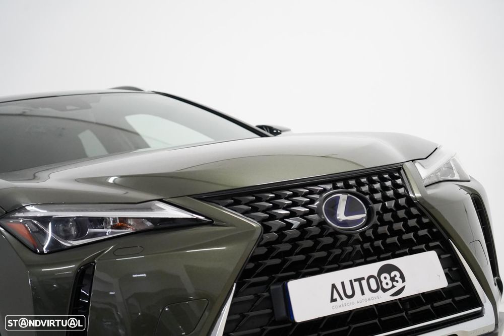 Lexus UX 300e Luxury - 17