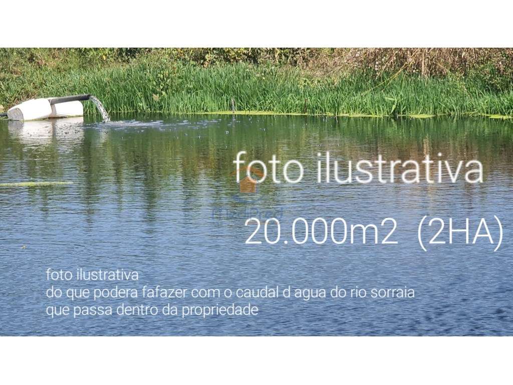 Terreno agrícola com 2 hectares | Bombardeira, Torres Vedras - Grande imagem: 2/8