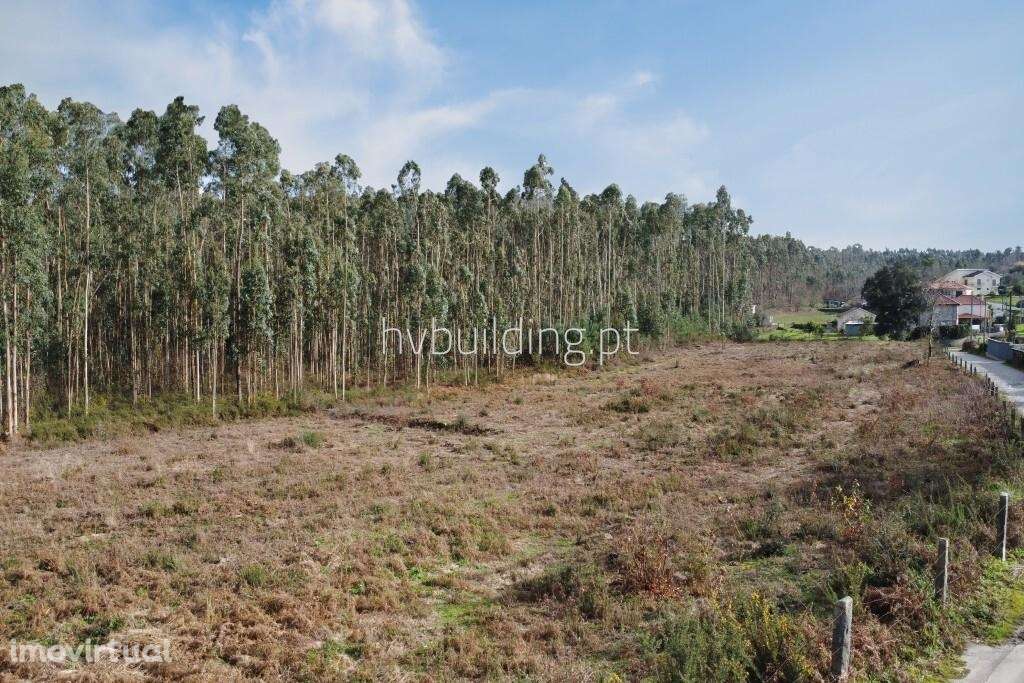 Terreno com potencial de investimento em Igreja Nova, Barcelos - Grande imagem: 2/7