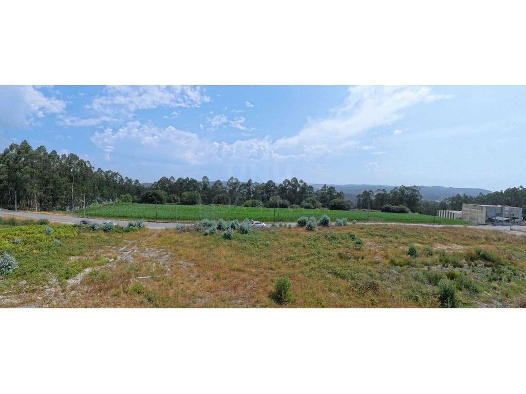 Terreno com 10 765m² à venda em Covelas, Trofa - Grande imagem: 3/4