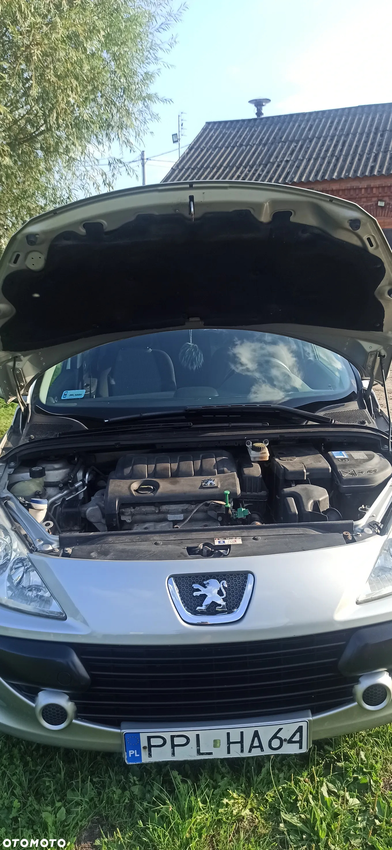 Peugeot 307 - 16