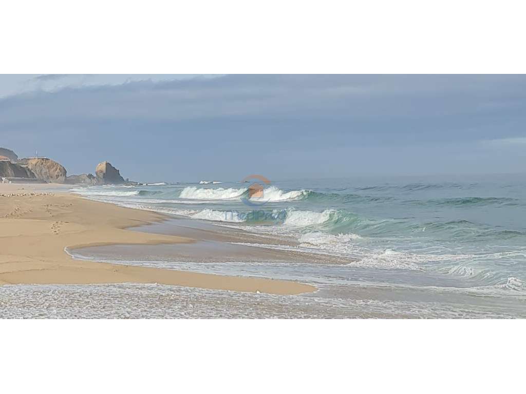 Terreno agrícola com 2 hectares | Bombardeira, Torres Vedras - Grande imagem: 3/8