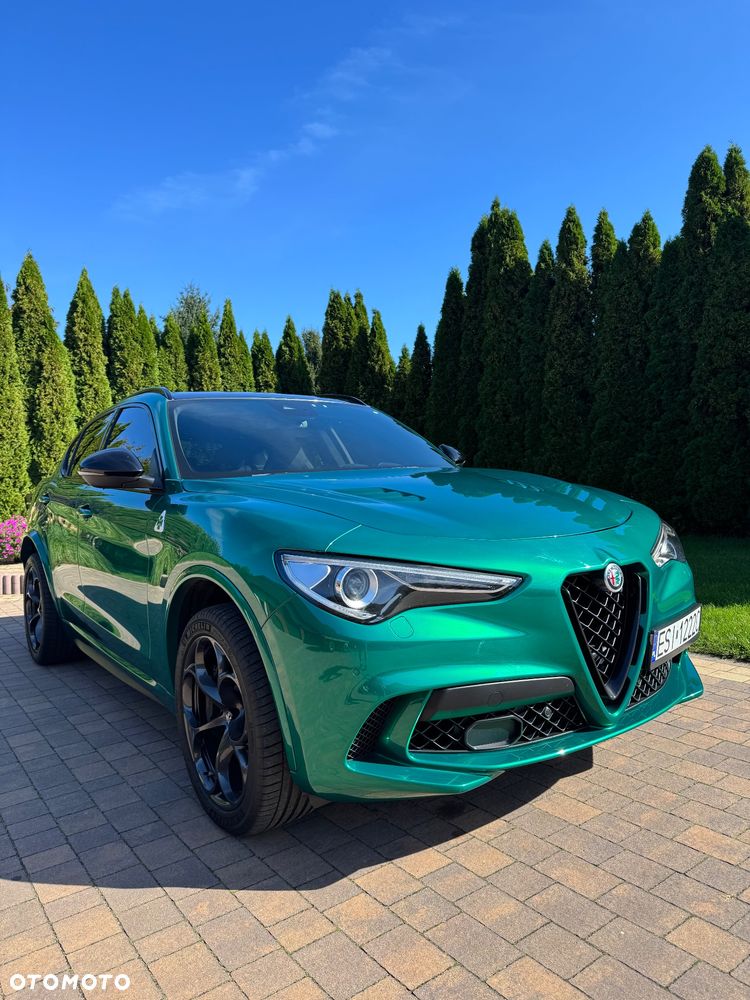 Alfa Romeo Stelvio 2.9 Bi Turbo V6 Quadrifoglio Q4 - 6