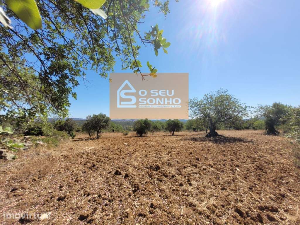 Terreno Rústico - 4.800 M² - Grande imagem: 2/11