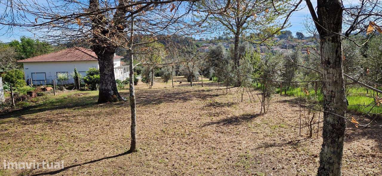 Terreno para moradia em Sarzedelo, Viseu - Grande imagem: 5/6