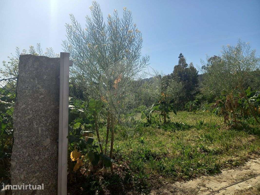 Terreno  para venda - Grande imagem: 5/14