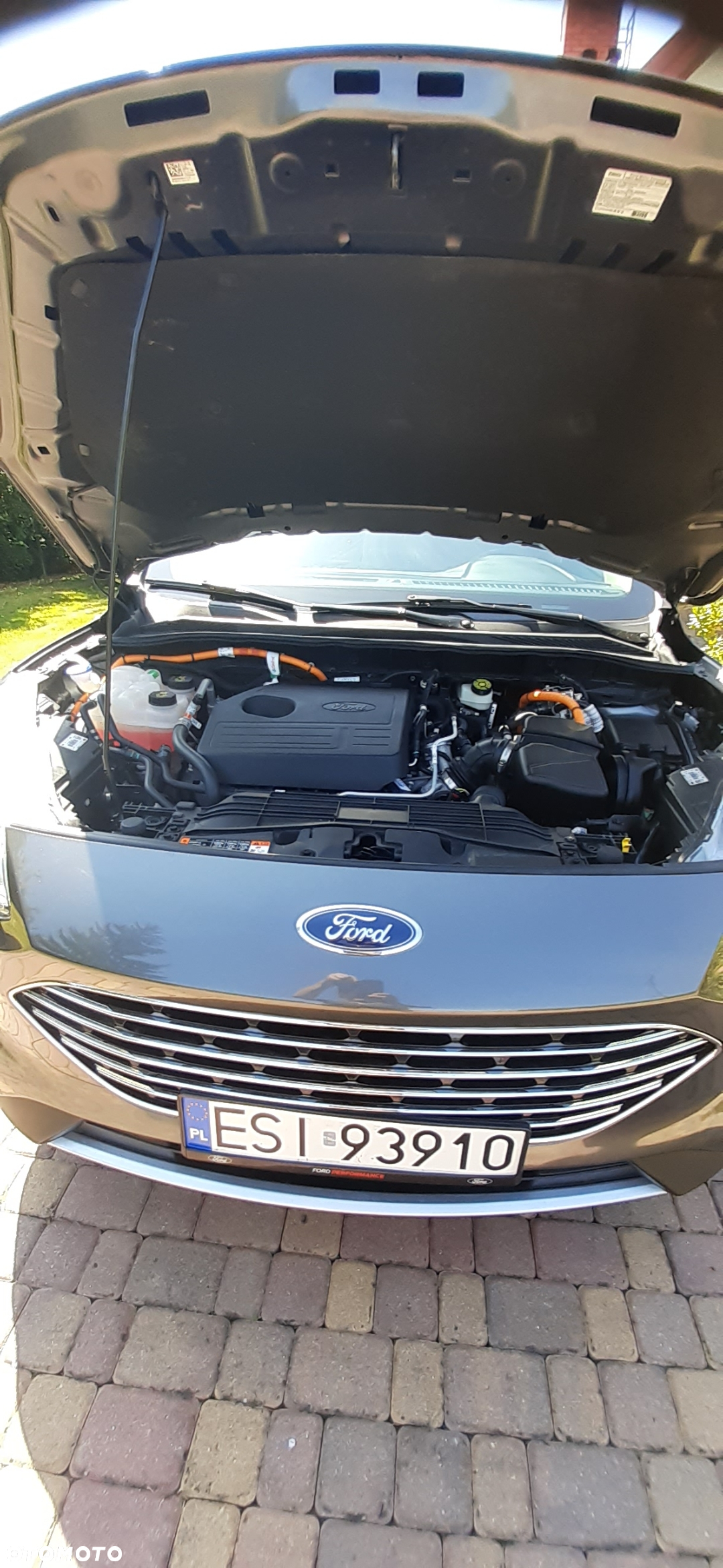 Ford Escape - 12