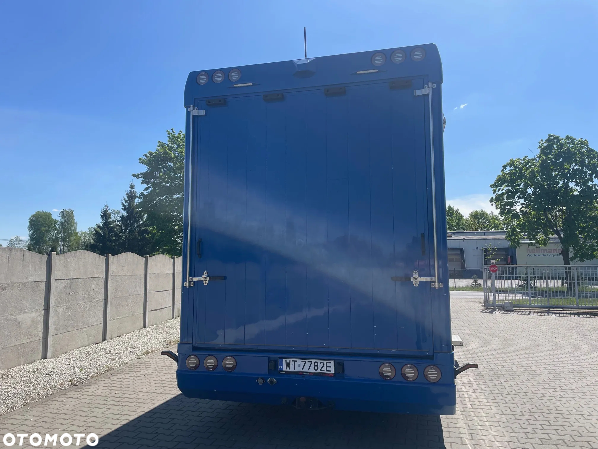 MAN TGL 12.250/ KONIOWÓZ- ROELOFSEN/ 4 KONIE/ - 5