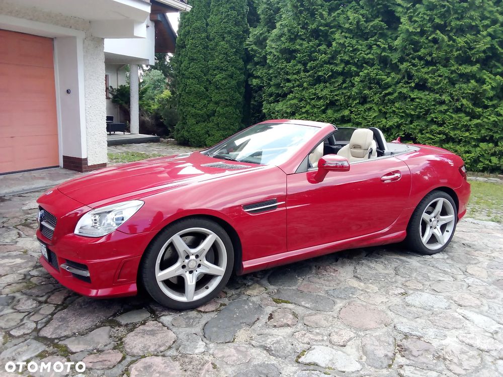 Mercedes-Benz SLK 250 (BlueEFFICIENCY) 7G-TRONIC - 17