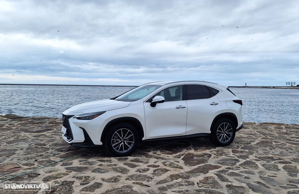 Lexus NX 450h+ - 5