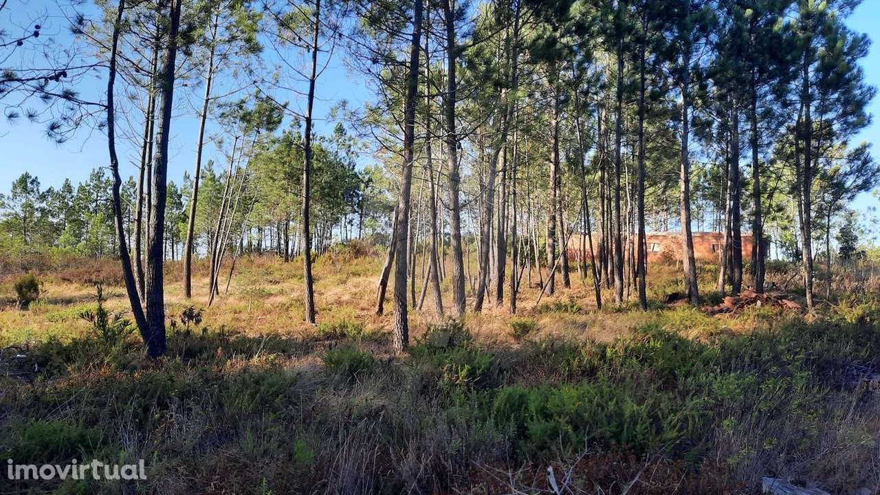 Terreno  para venda - Grande imagem: 3/9