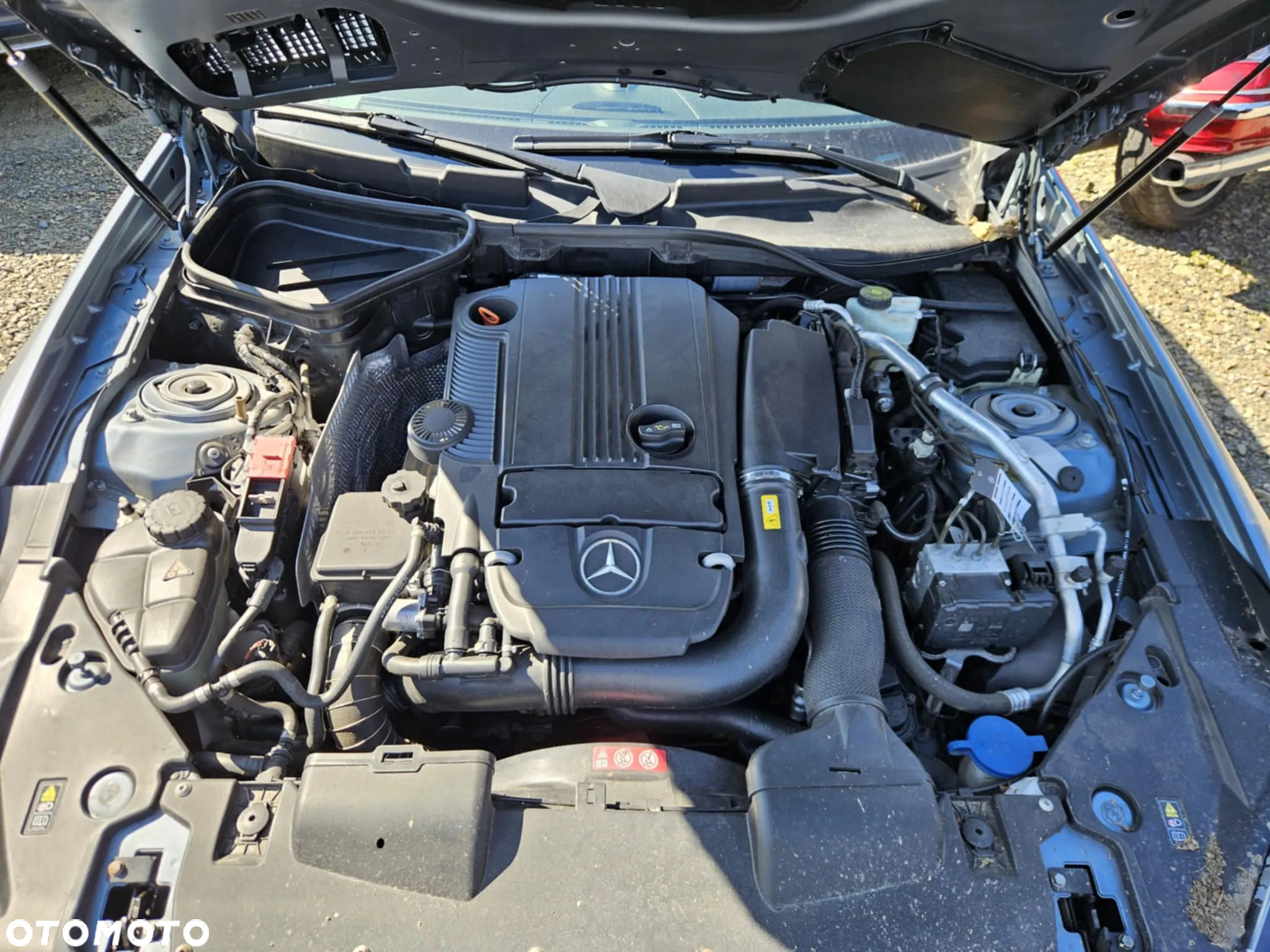 Mercedes-Benz SLK 250 BlueEFFICIENCY 7G-TRONIC Edition 1 - 30