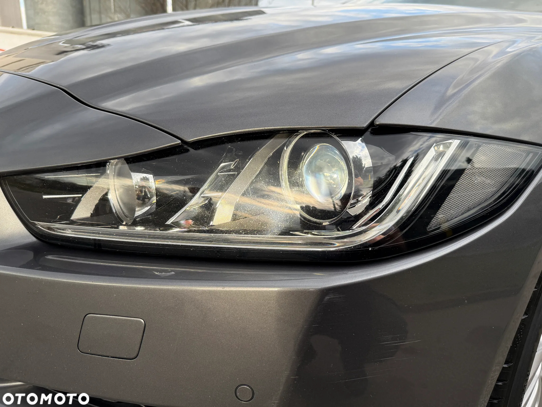 Jaguar XE - 17