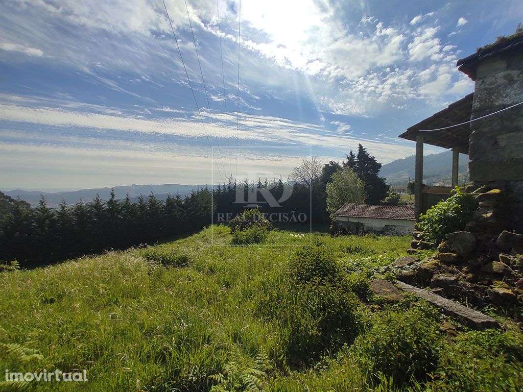 Quinta com 15000m2 em Santo Tirso - Grande imagem: 2/22