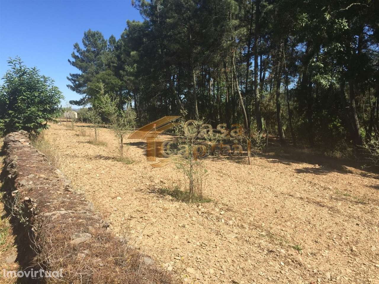 Terreno junto à E.N. 322 - Grande imagem: 2/6