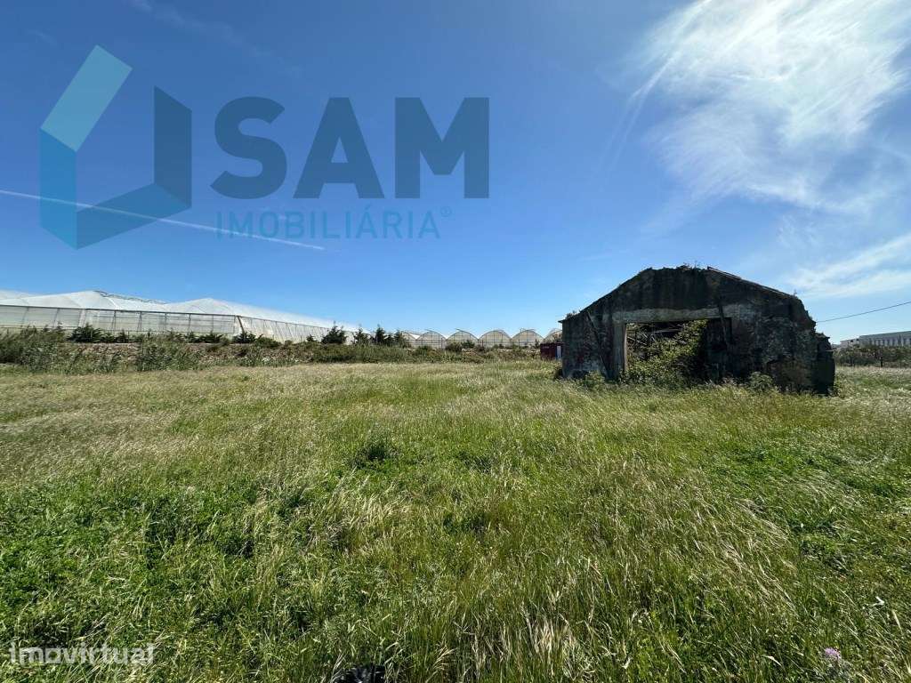 Quinta Rural para Recuperar - Grande imagem: 4/19