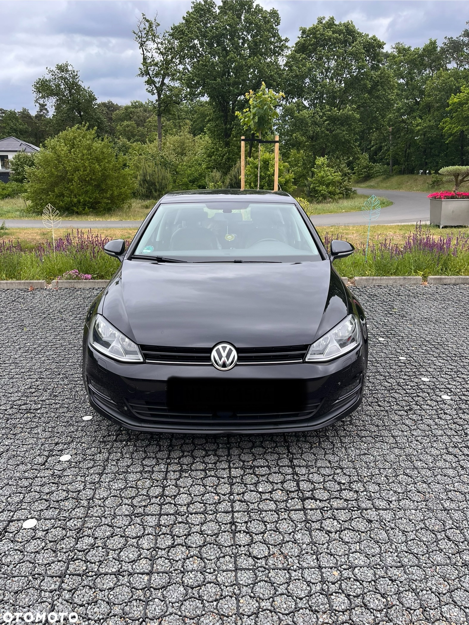 Volkswagen Golf - 6