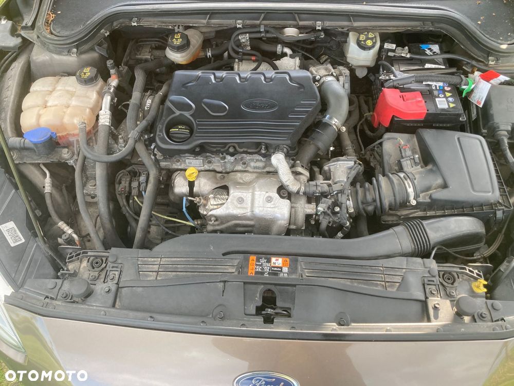 Ford Focus - 20