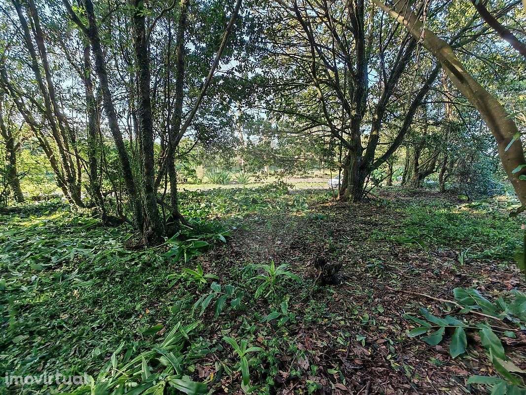 Terreno  para venda - Grande imagem: 3/10