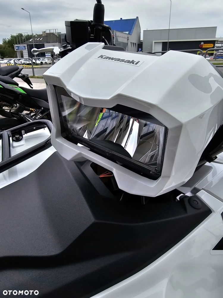 Kawasaki Brute Force - 14