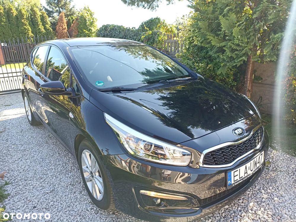 Kia Ceed - 1