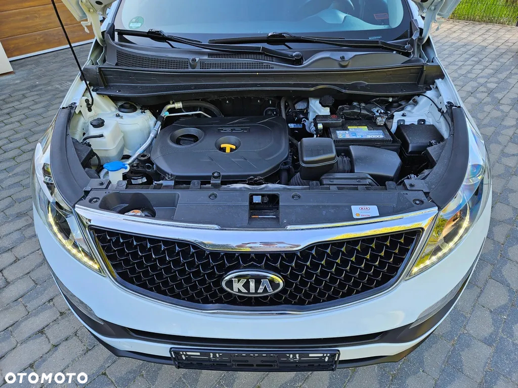 Kia Sportage - 35