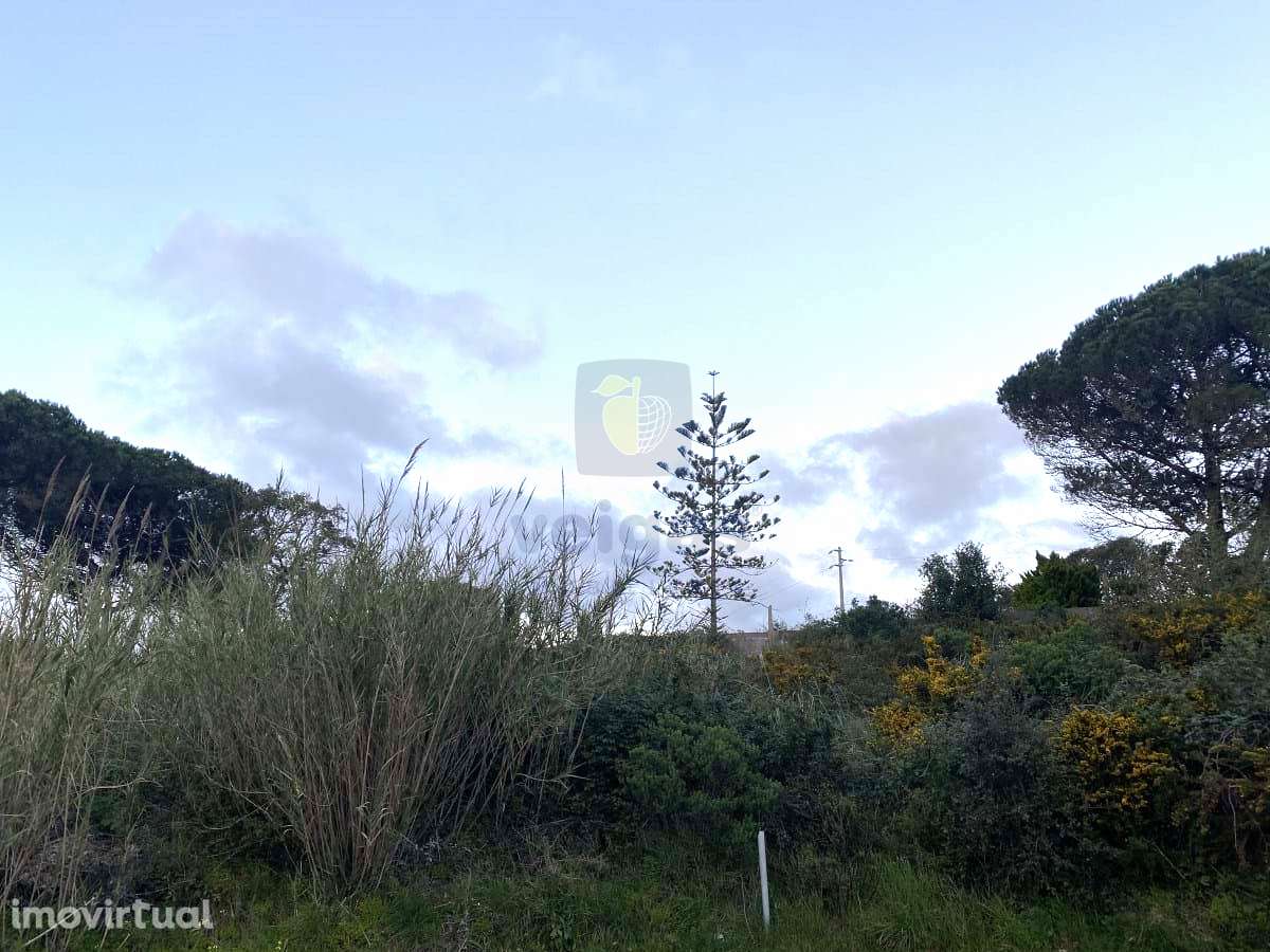 Moradia T3 Nadadouro - Grande imagem: 5/27