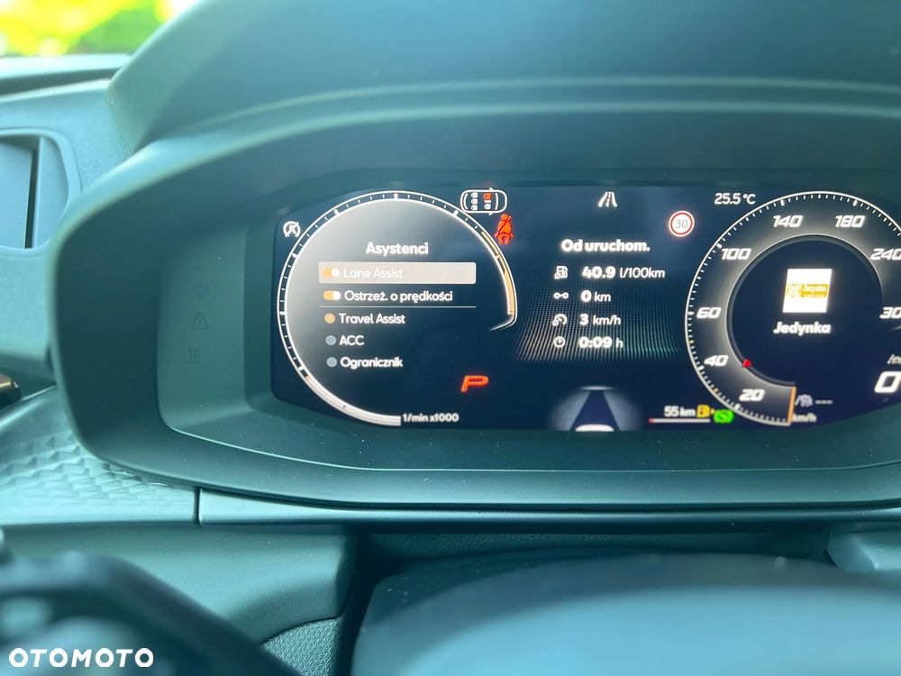 Cupra Terramar 2.0 TSI 4Drive Advantage Edition DSG - 25