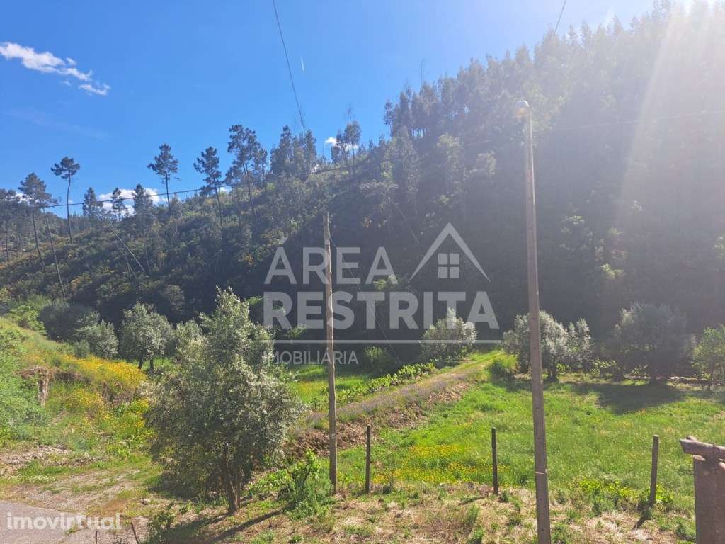 Verdadeiro paraíso no coração de Cambas em Oleiros - Grande imagem: 3/60