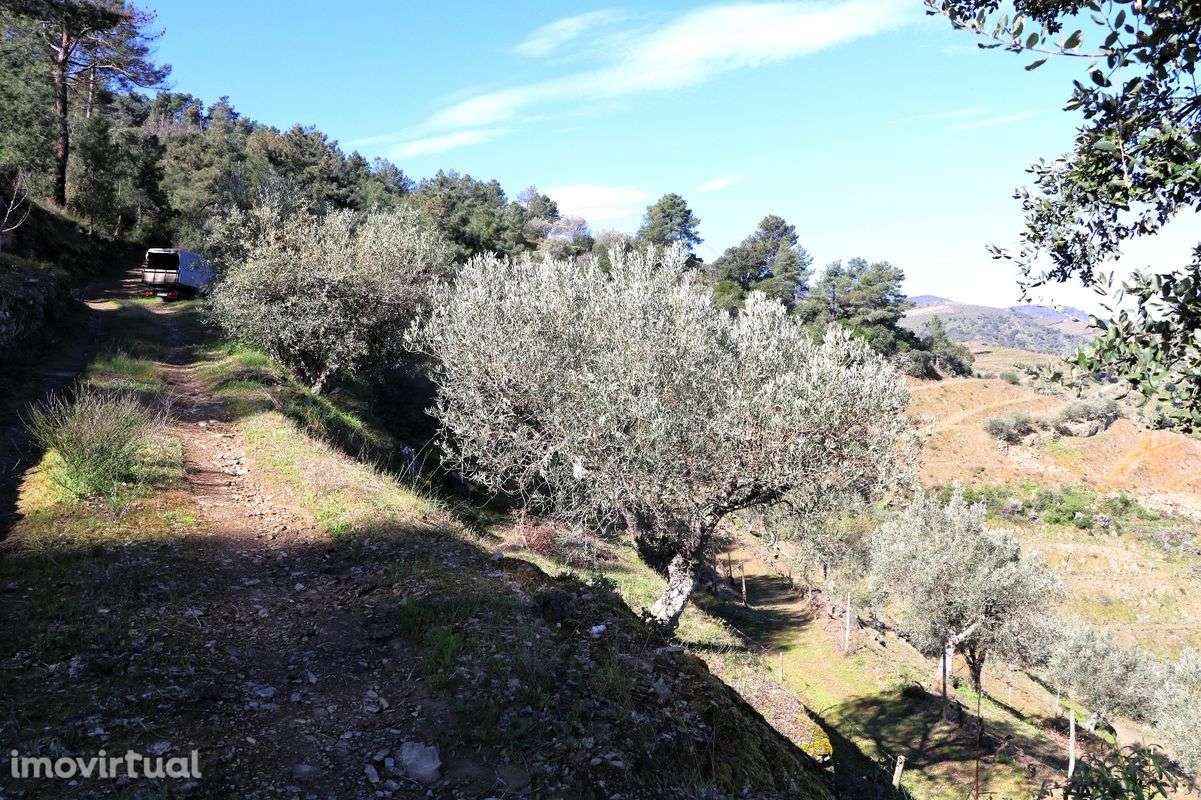 Quinta  para venda - Grande imagem: 4/50