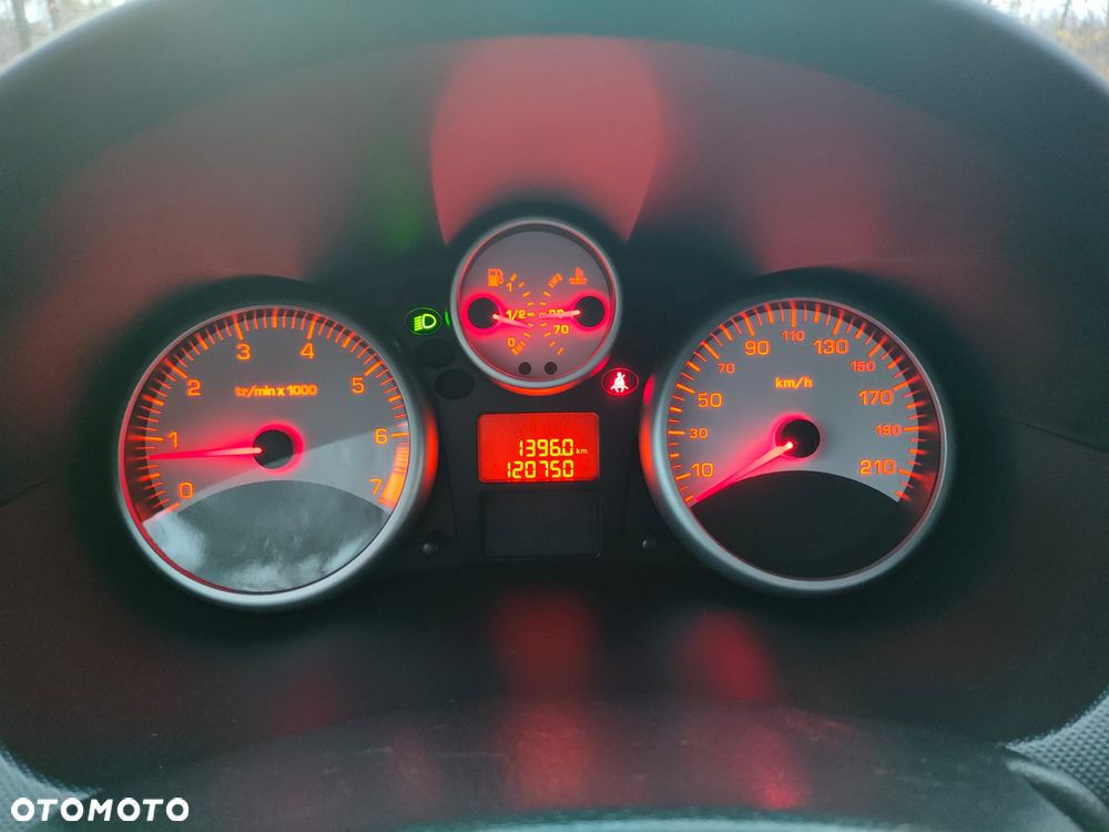 Peugeot 206 plus - 11