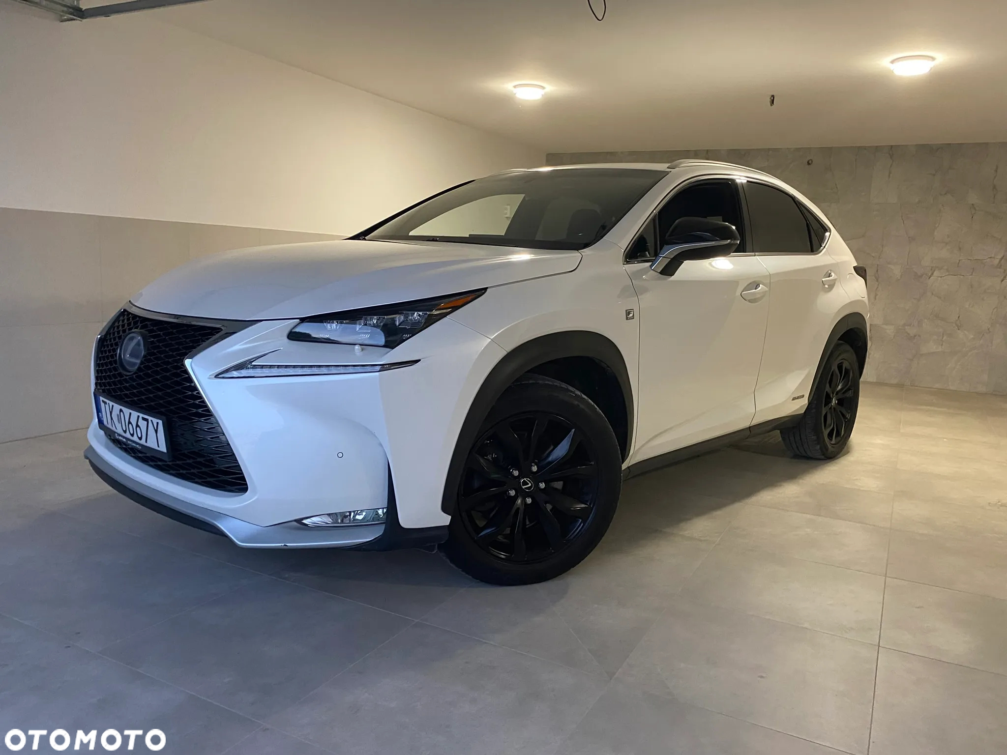 Lexus NX 300h - 24