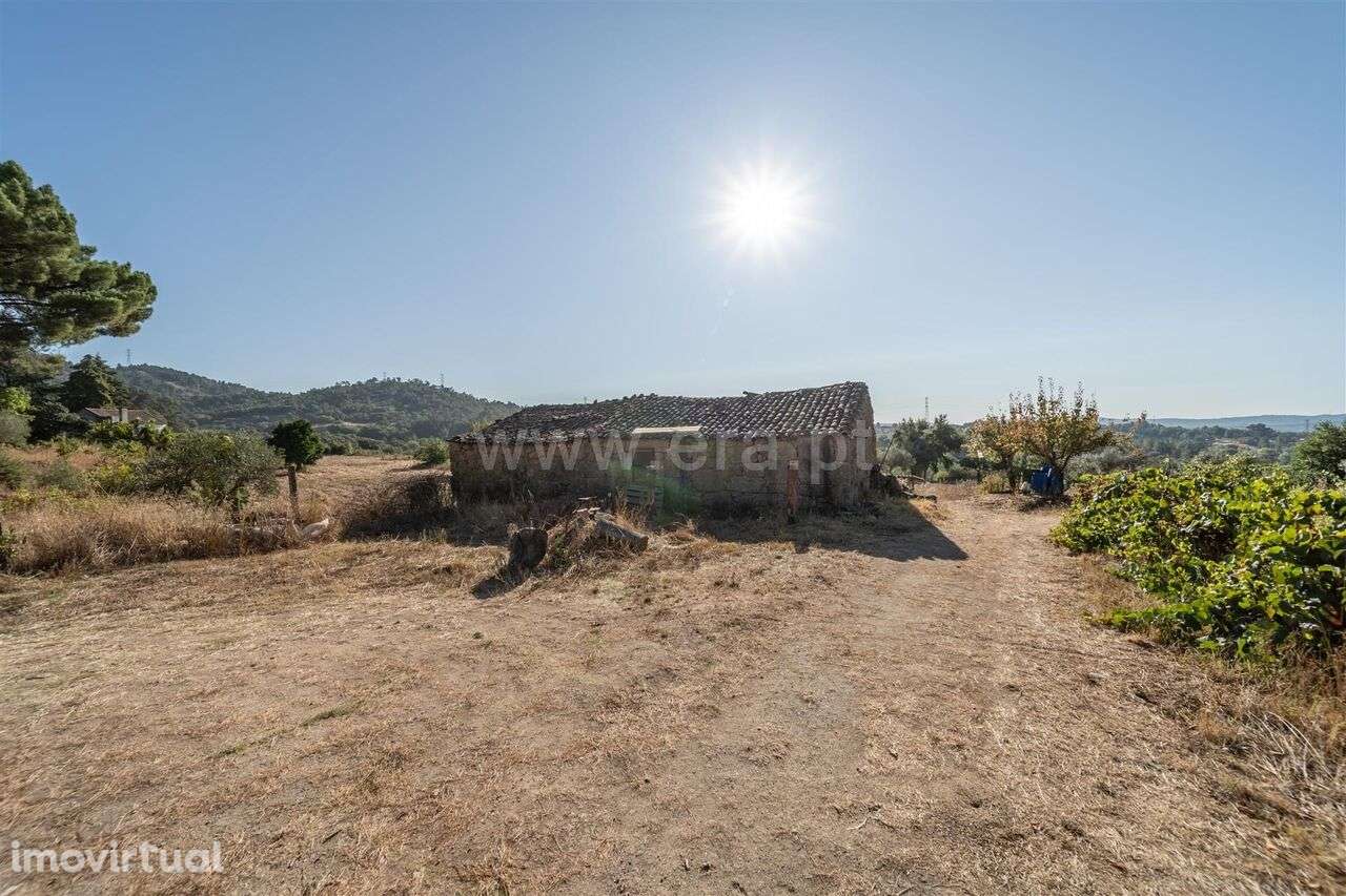 Terreno Rústico / Fundão, Pêro Viseu - Grande imagem: 2/19