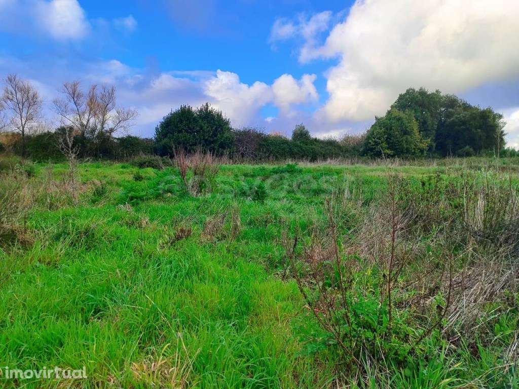 Terreno com cerca de 1500m², localizado na vila de Pataias - Grande imagem: 3/9