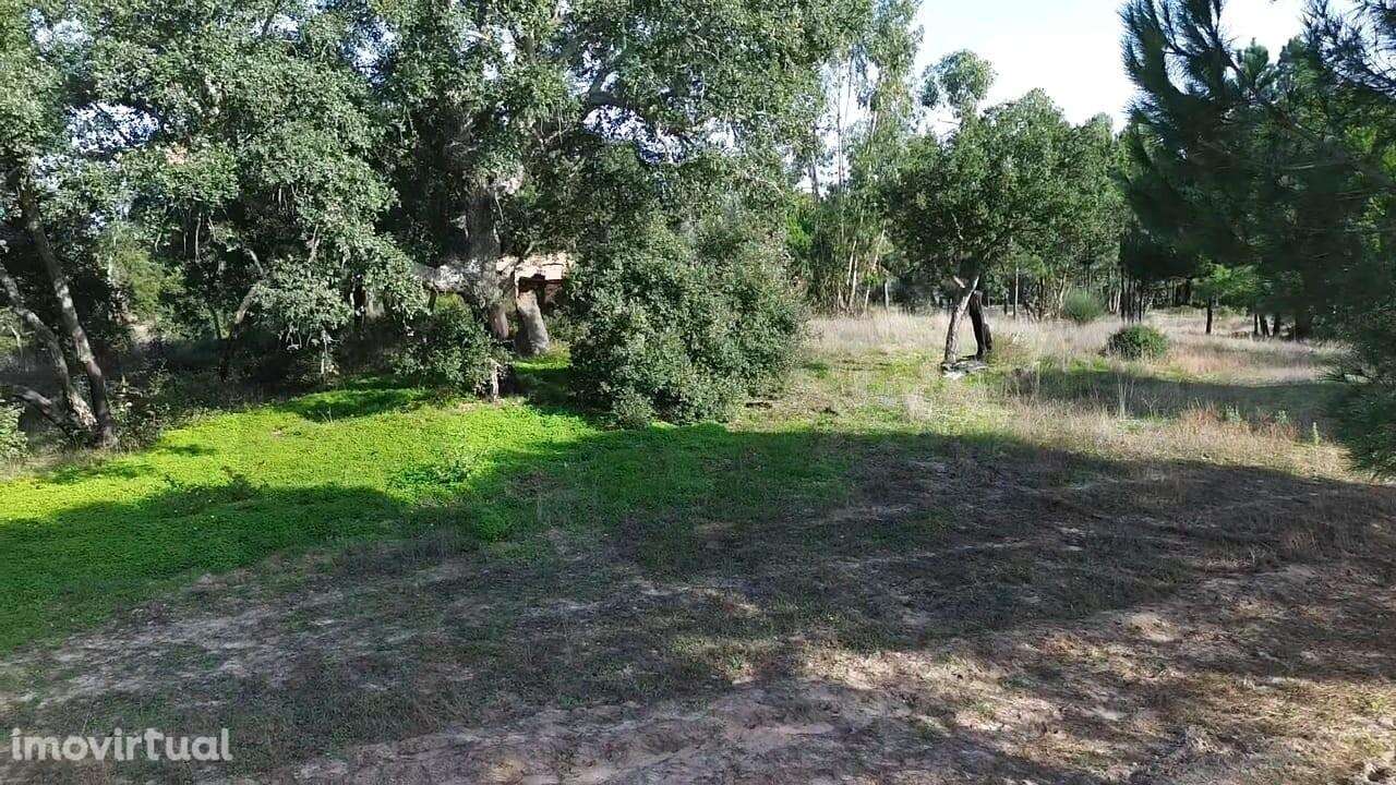 Terreno com Projeto para Moradia V6 - Grande imagem: 2/18