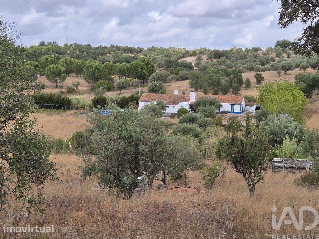 Quinta rural T4 em Brotas de 138 m2 - Grande imagem: 3/35