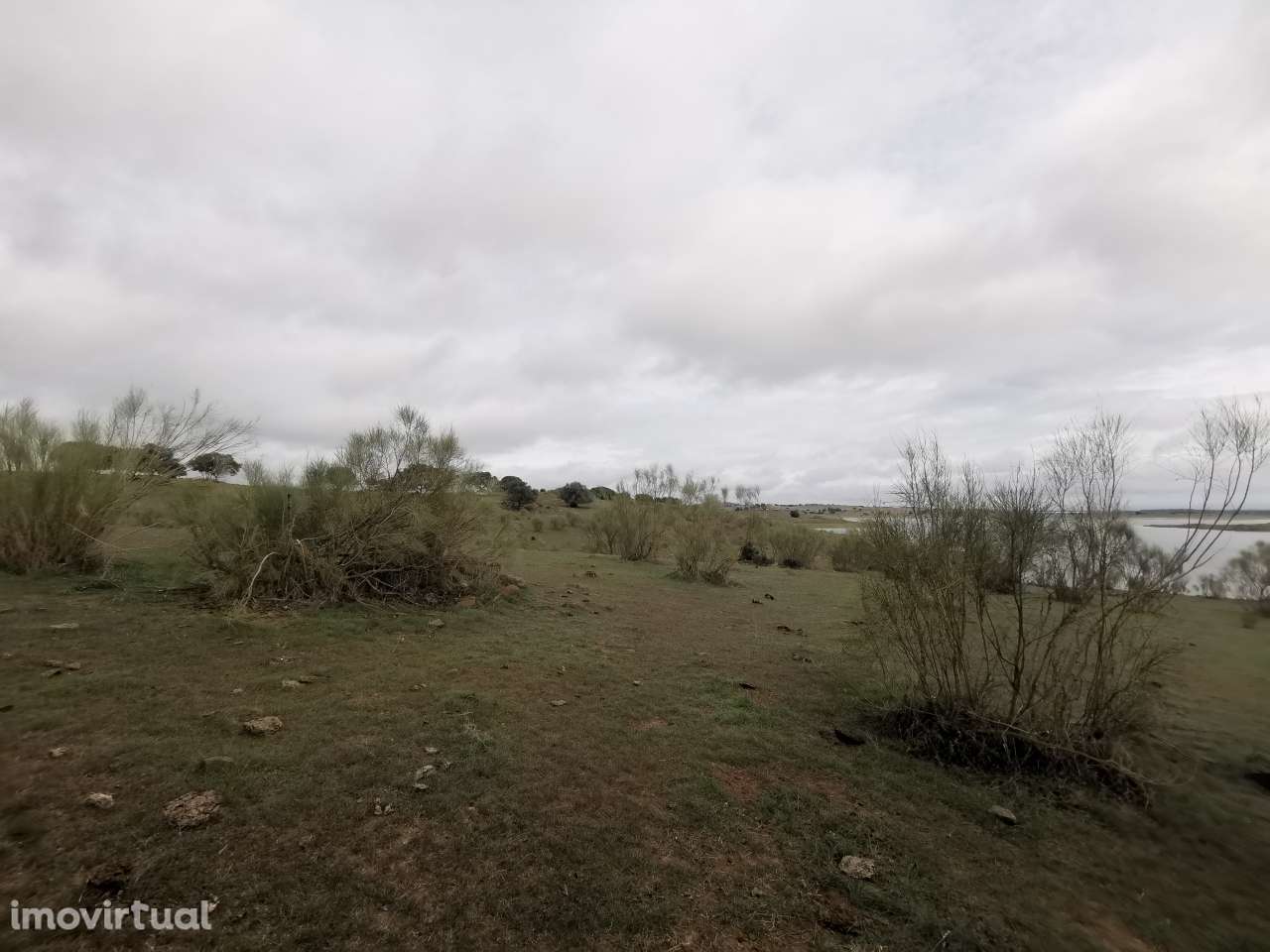 80.000 m² de Oportunidade Única no Alentejo: Versatilidade e Beleza ju - Grande imagem: 5/8