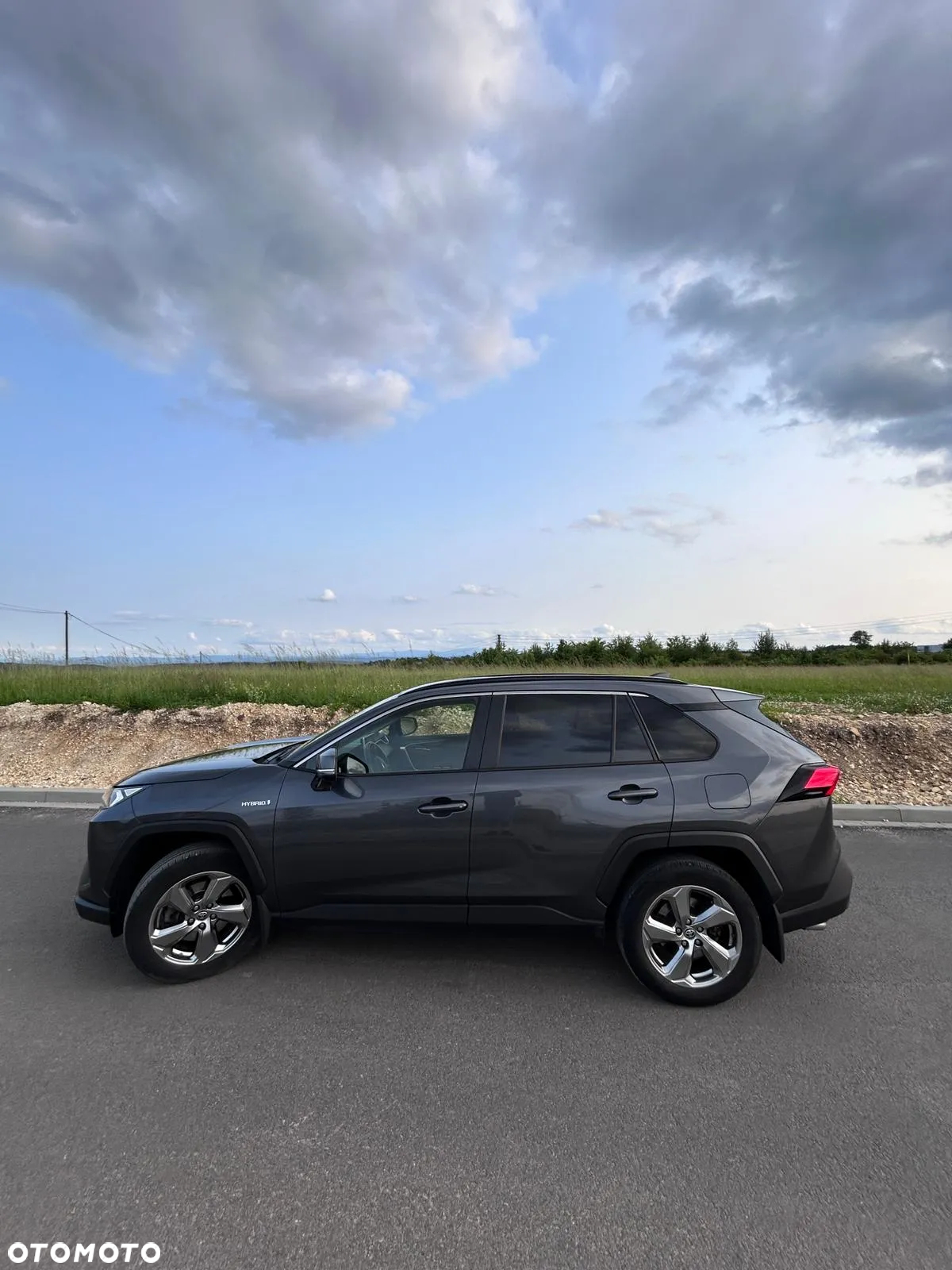 Toyota RAV4 2.5 Hybrid Active 4x4 - 5