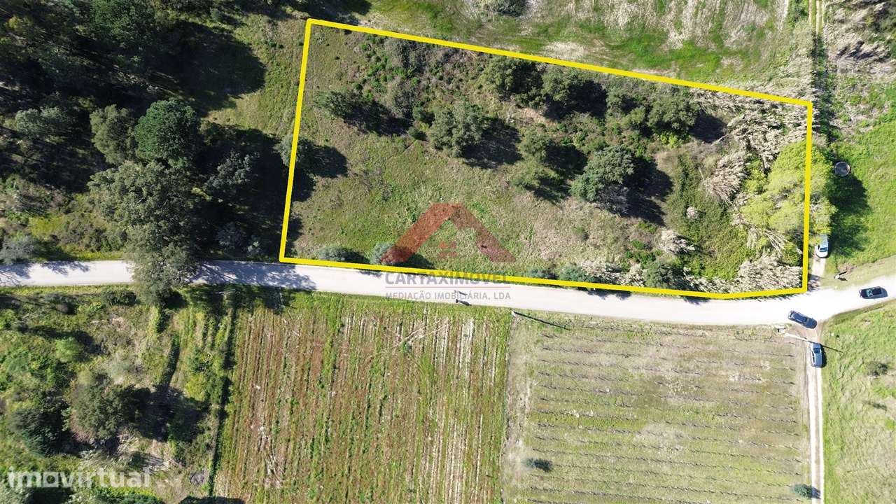 Terreno  Venda em Almoster,Santarém - Grande imagem: 2/14