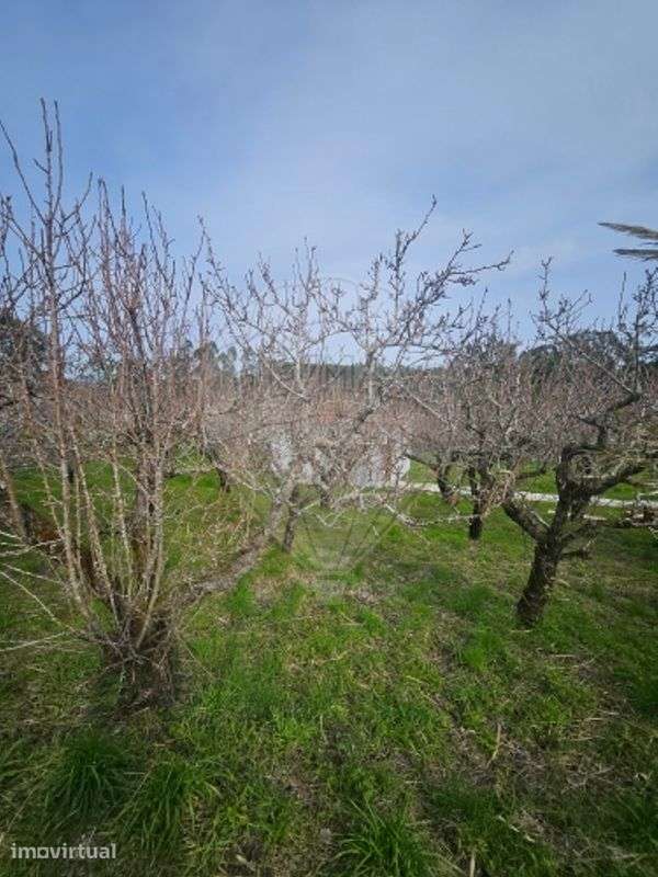 Terreno  para venda - Grande imagem: 2/12