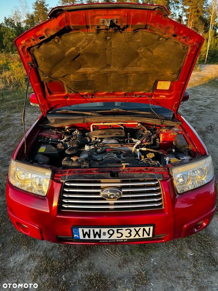 Subaru Forester - 19