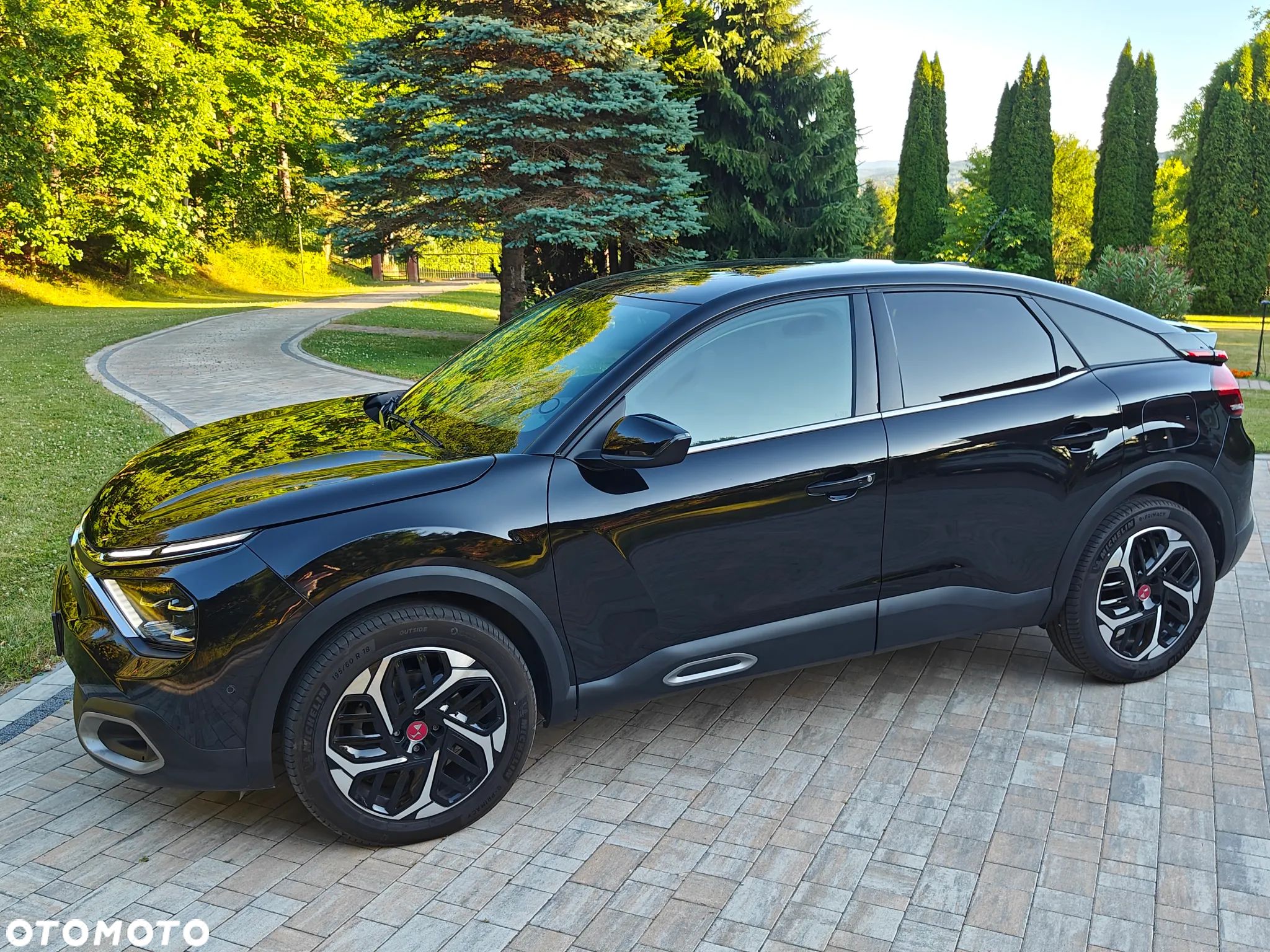 Citroën C4 BlueHDi 130 Stop&Start EAT8 SHINE - 1