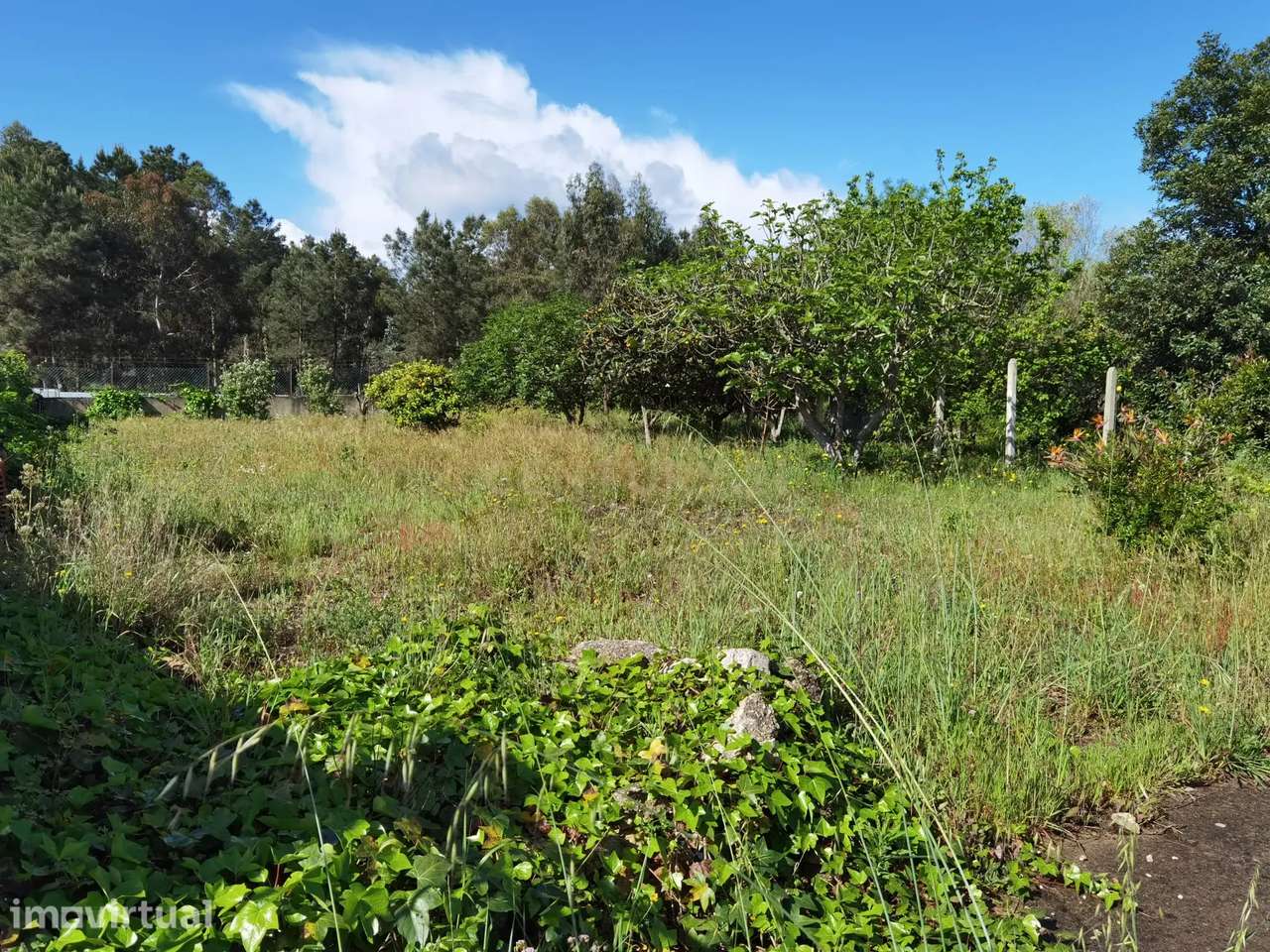 Terreno à venda em Fernão Ferro - Localização tranquila e acessível. - Grande imagem: 4/9