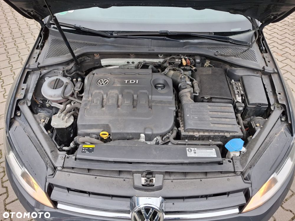 Volkswagen Golf 1.6 TDI BMT Highline - 21