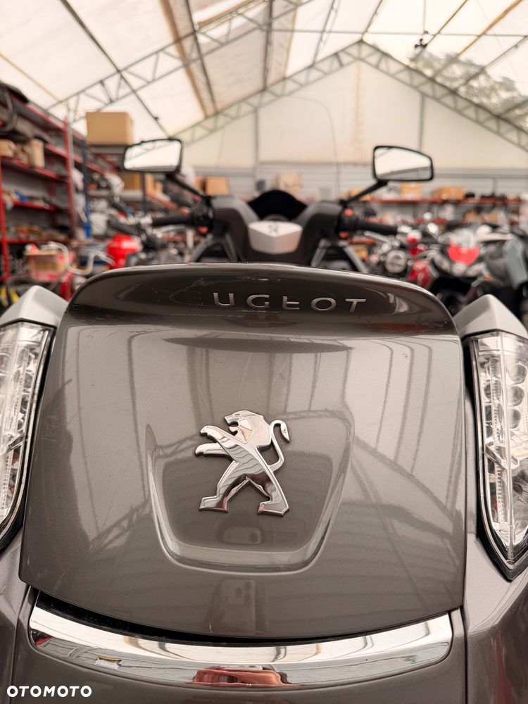Peugeot Satelis - 14